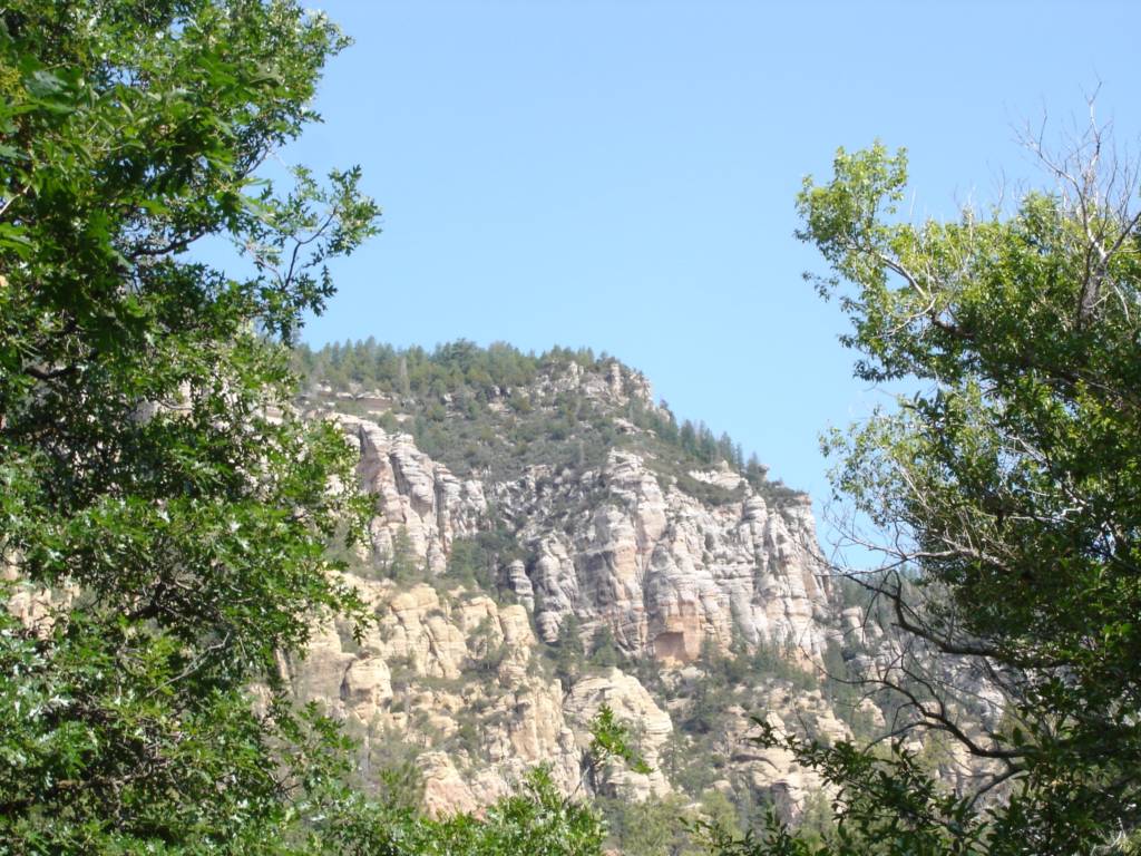 DSC03019.JPG