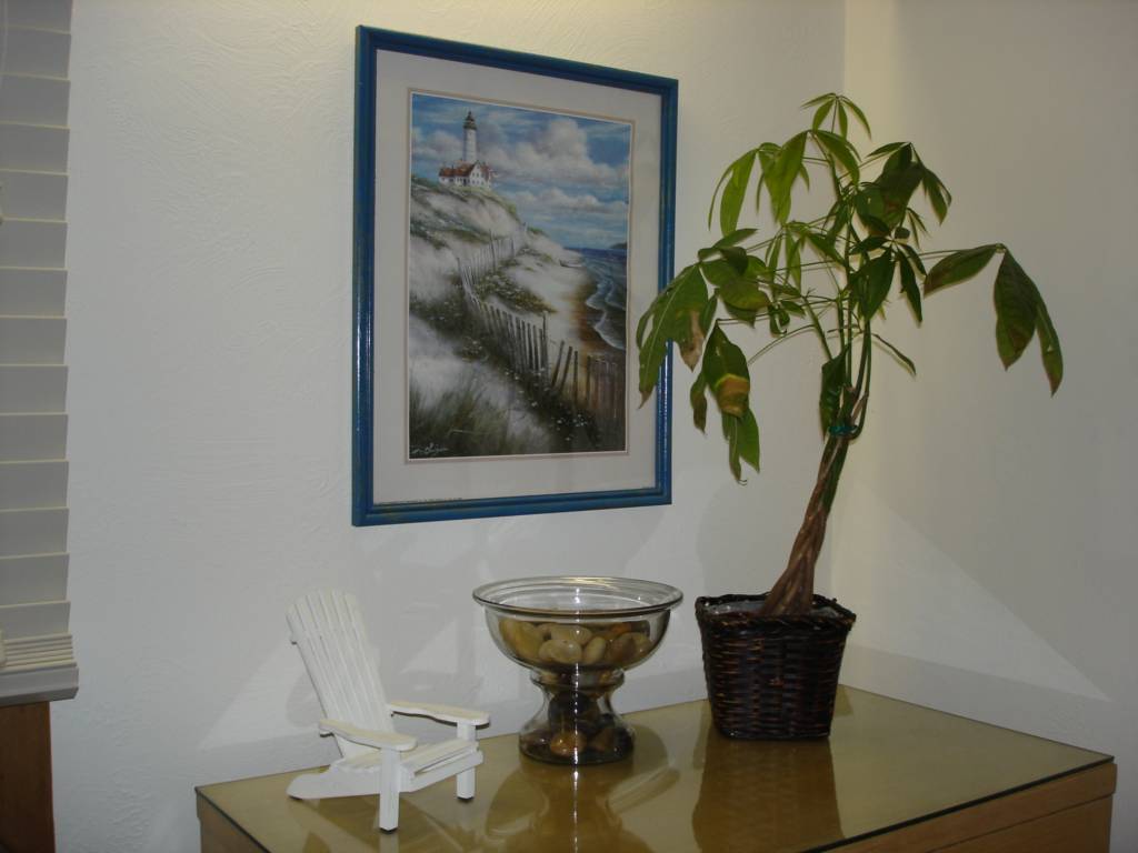 DSC02391.JPG