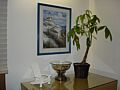 DSC02391.JPG