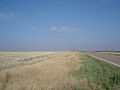 DSC02405.JPG