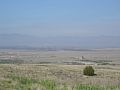 DSC02455.JPG