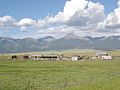 DSC02486.JPG