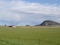 DSC02487.JPG