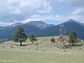 DSC02491.JPG