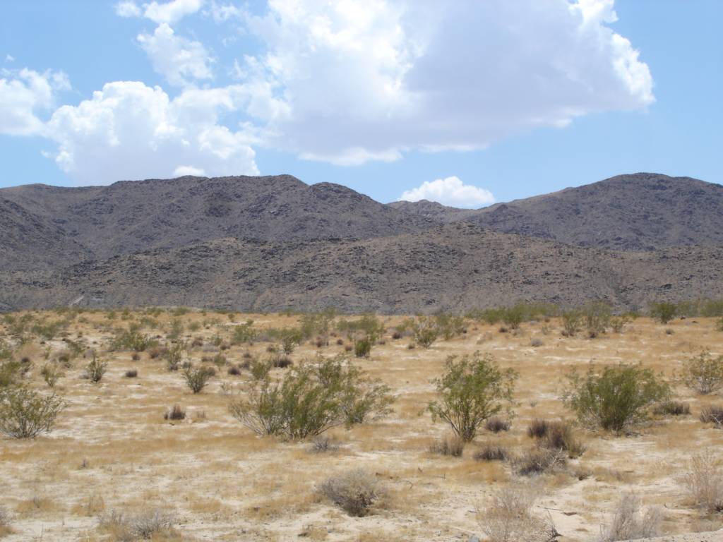 DSC03154.JPG