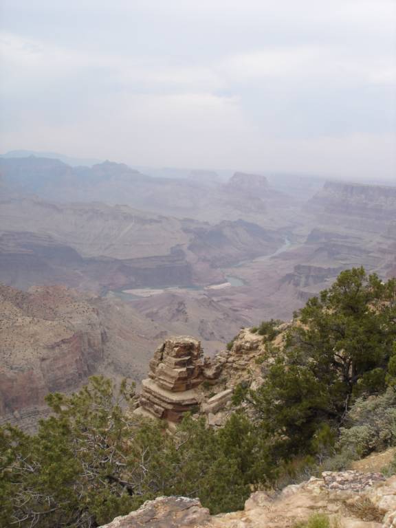 DSC02981.JPG
