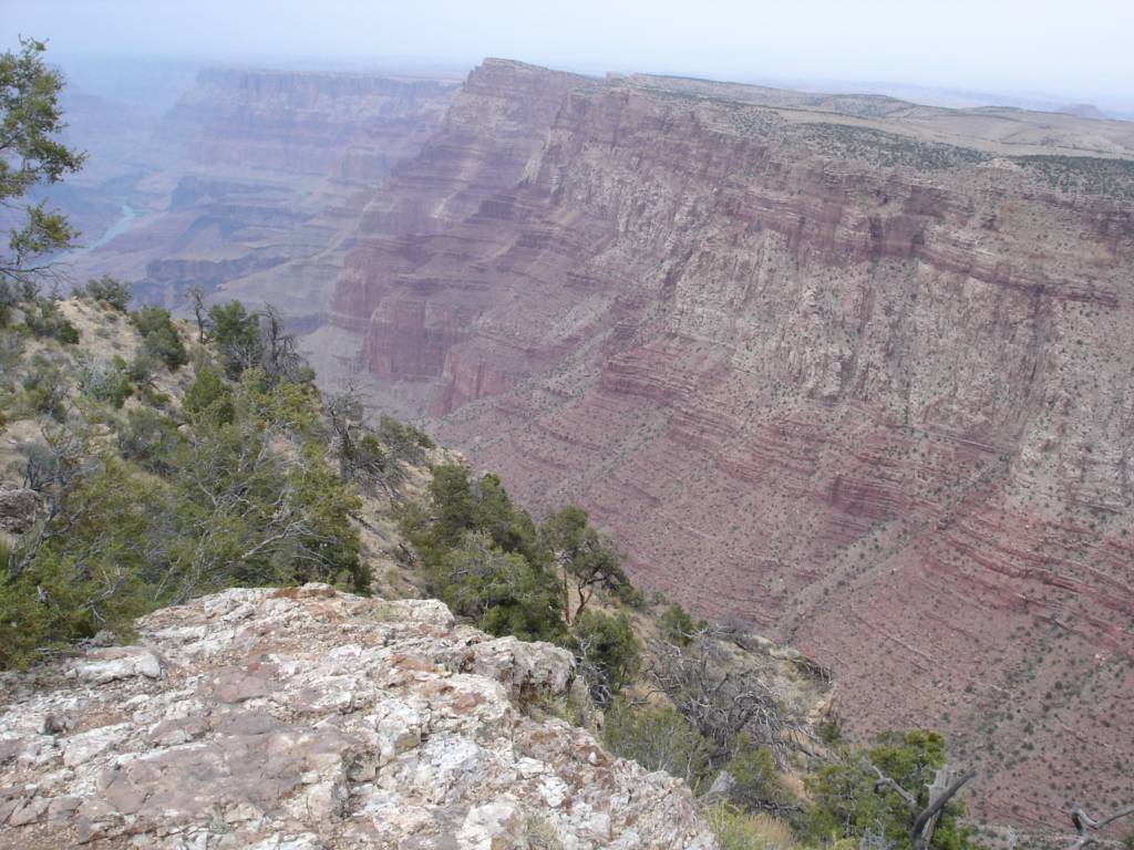DSC02984.JPG
