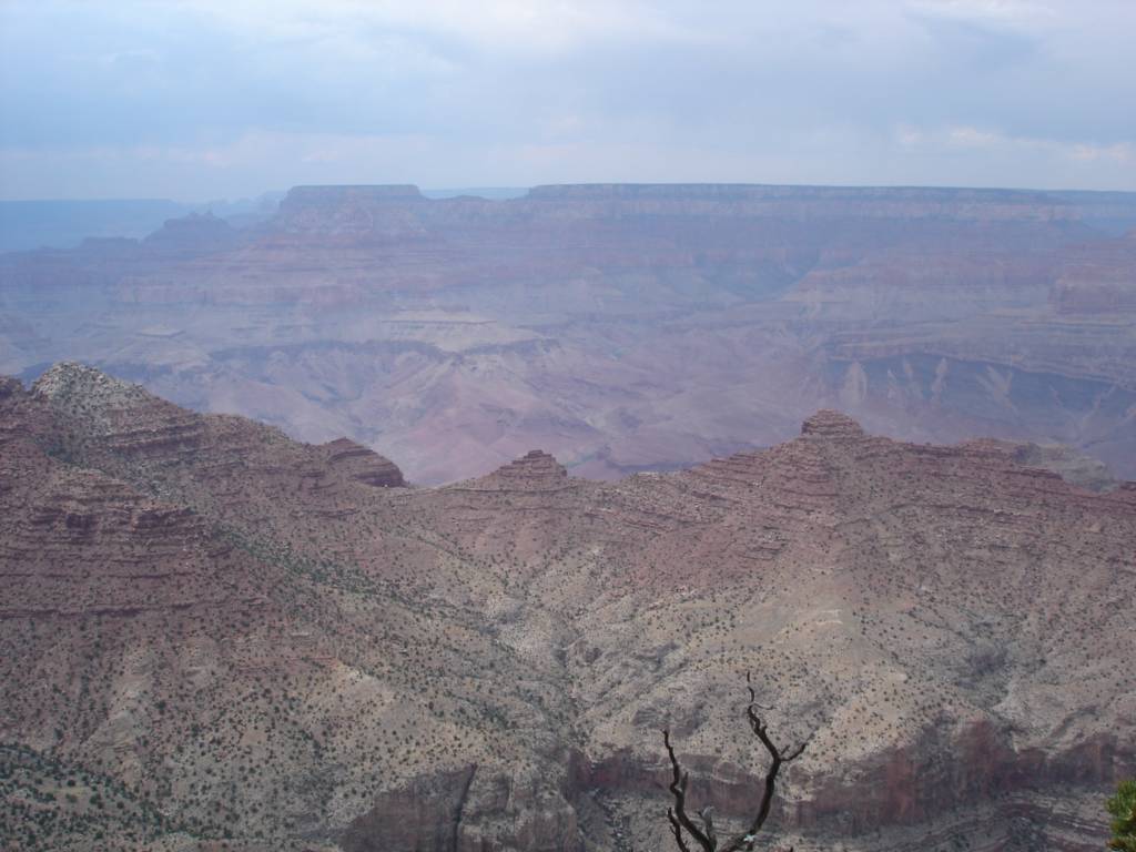DSC02989.JPG
