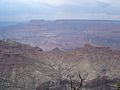 DSC02989.JPG