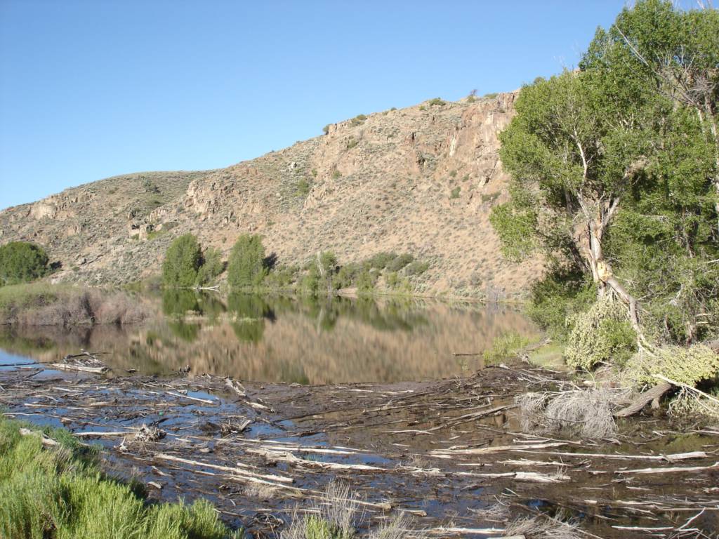 DSC02564.JPG