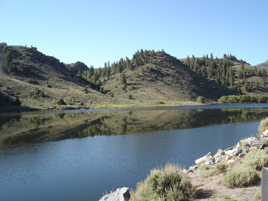DSC02567.JPG