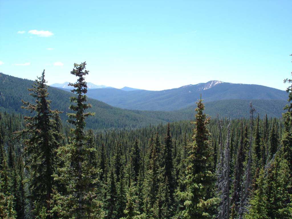 DSC02542.JPG