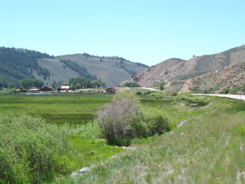 DSC02547.JPG