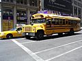 DSC01781.JPG