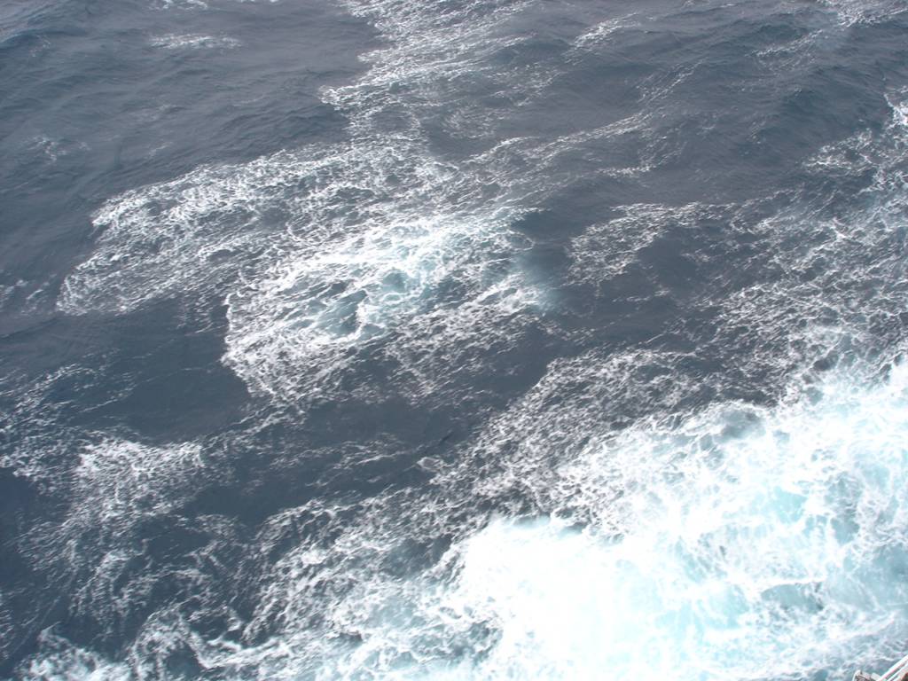 DSC01649.JPG