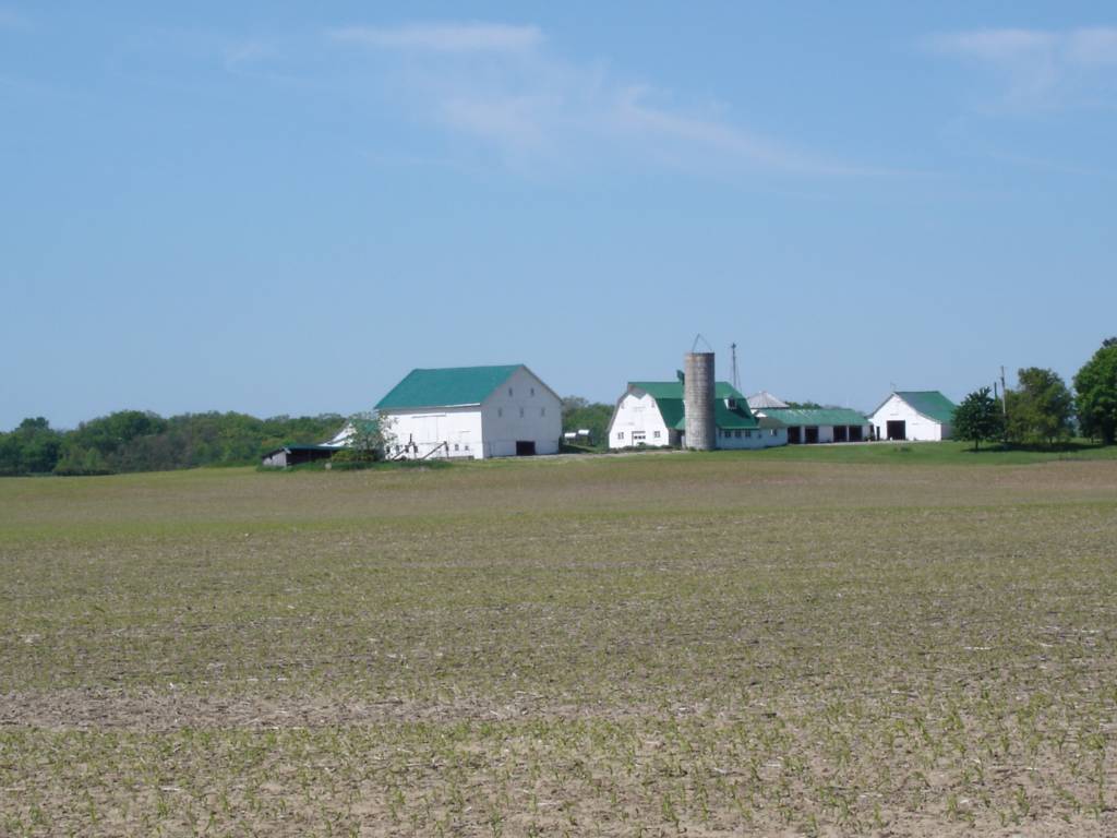 DSC01944.JPG