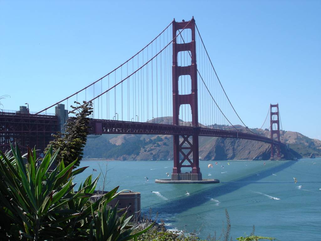 DSC80.JPG