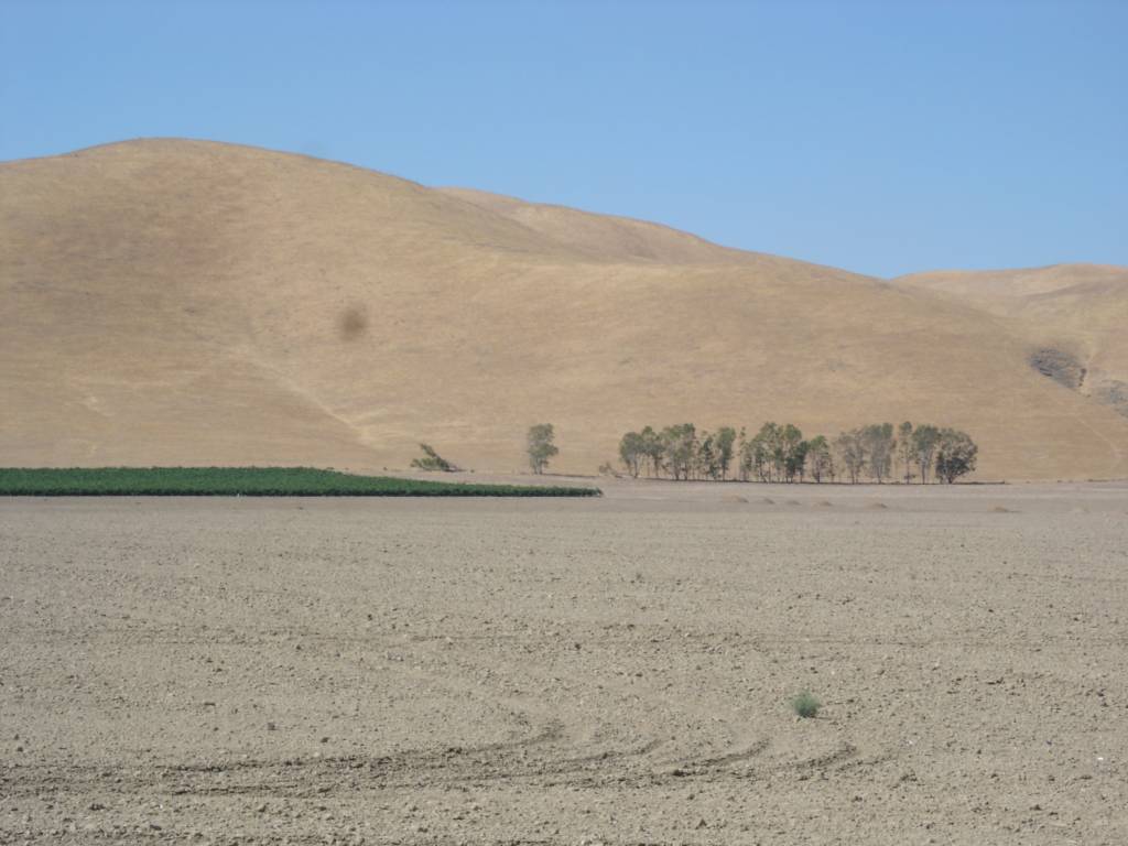 DSC03266.JPG
